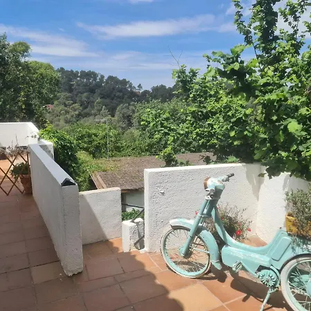 Nature Oasis Near Barcelona With Swimming Pool Parties Not Allowed Sant Cugat del Vallès Exterior photo