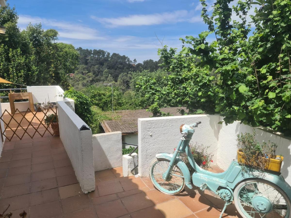 Chalet Nature Oasis Near Barcelona With Swimming Pool Parties Not Allowed Sant Cugat del Valles
