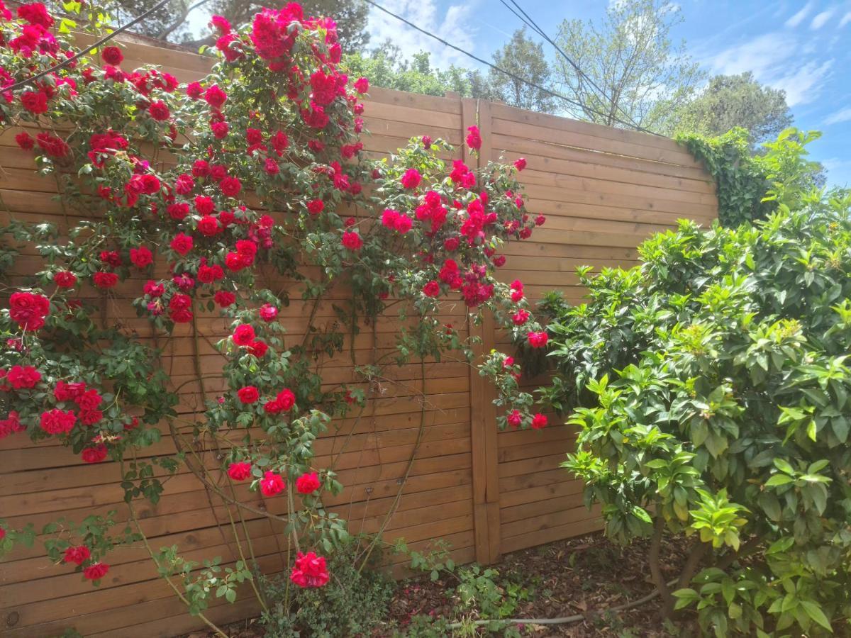 Chalet Nature Oasis Near Barcelona With Swimming Pool Parties Not Allowed Sant Cugat del Valles